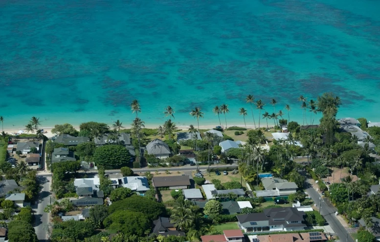 Sunny beach with several homes and tall palmtrees.