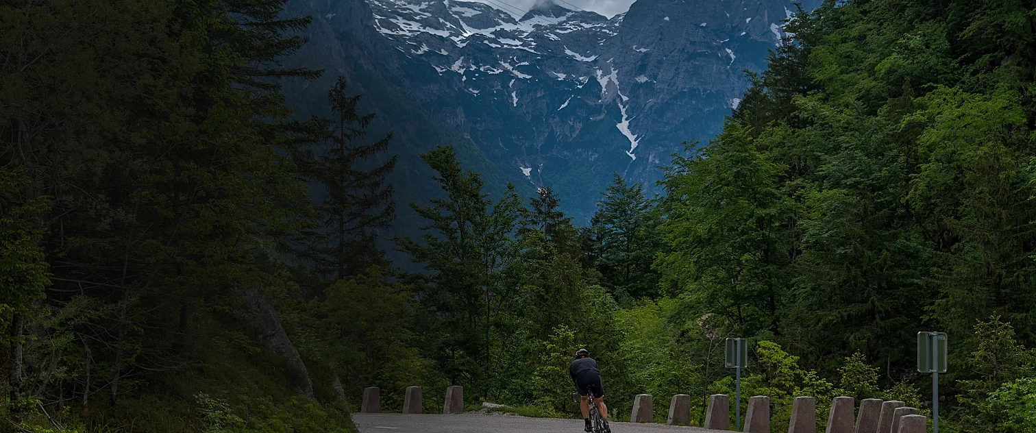 Person cycling on a road through a lush green forest with mountains in the background.