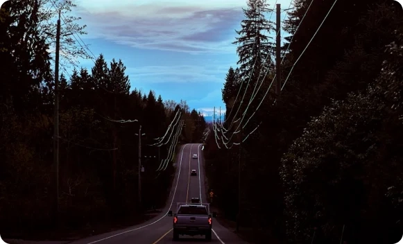 Long, winding road stretching into the distance through a dense dark forest, with power lines overhead and a truck driving away.